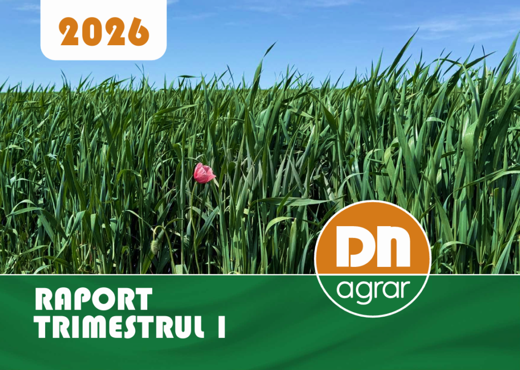 Raport Financiar T1 – 2026